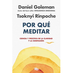 Por que meditar