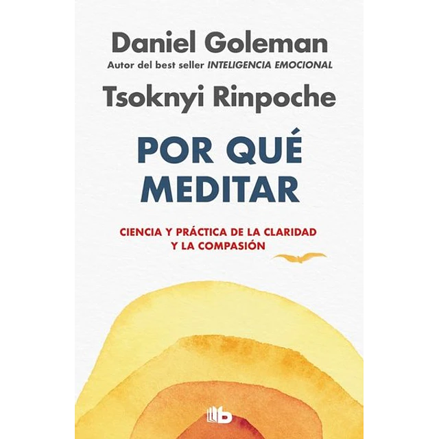 Por que meditar