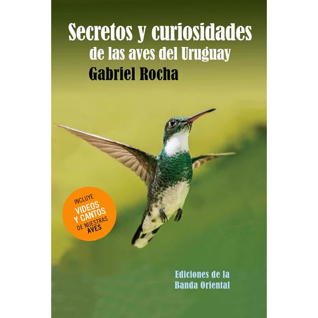 Secretos y curiosidades de las aves del uruguay