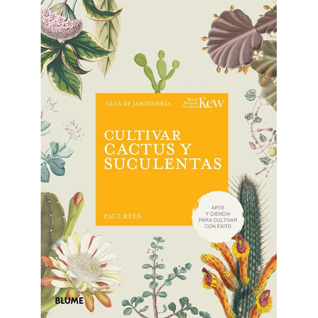 Cultivar cactus y suculentas