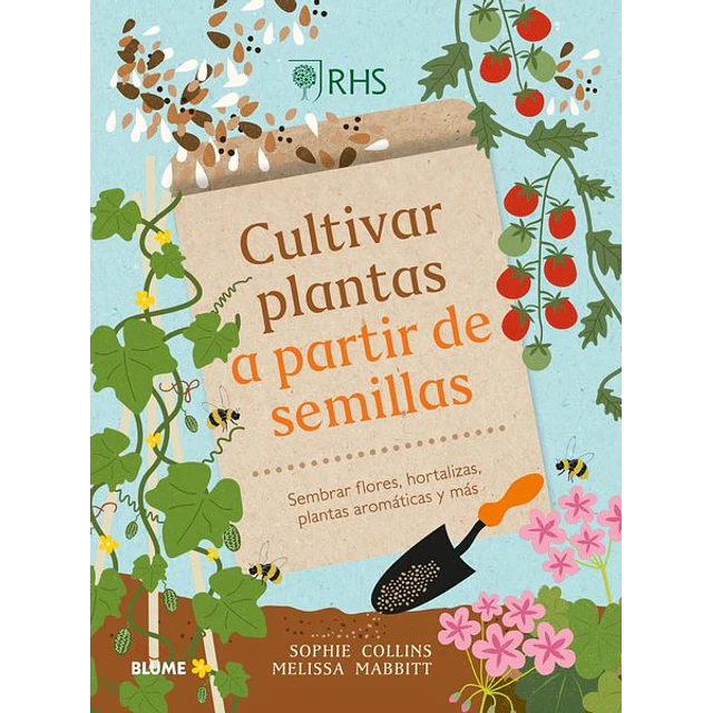 Cultivar plantas a partir de semillas