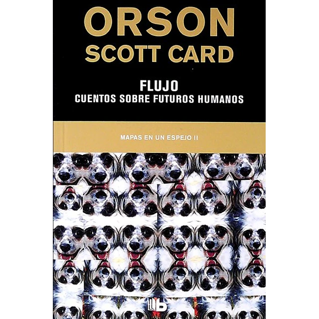 Flujo. Mapa en un espejo II