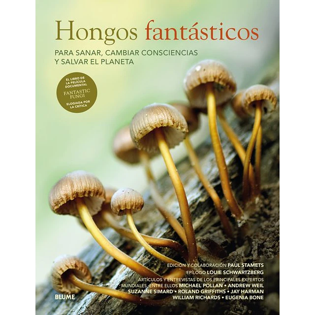 Hongos fantasticos
