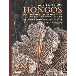 La vida de los hongos