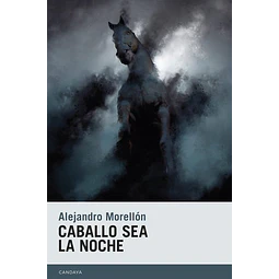 Caballo sea la noche