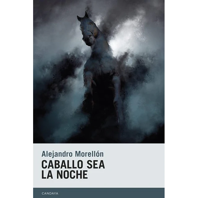Caballo sea la noche