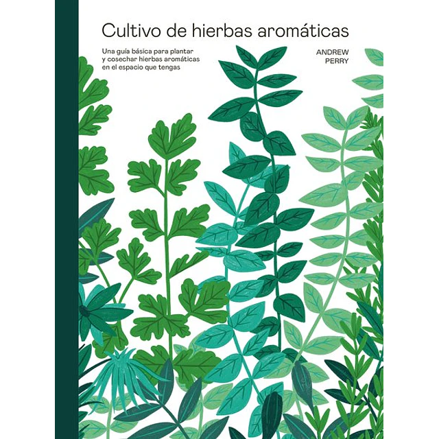 Cultivo de hierbas aromaticas