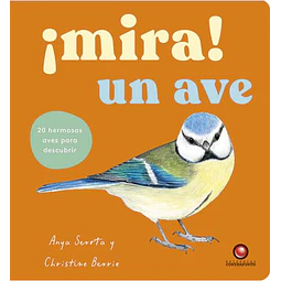 ¡Mira! un ave