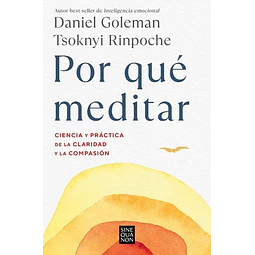 Por que meditar