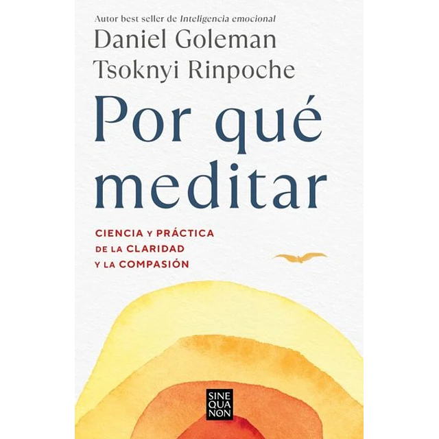 Por que meditar
