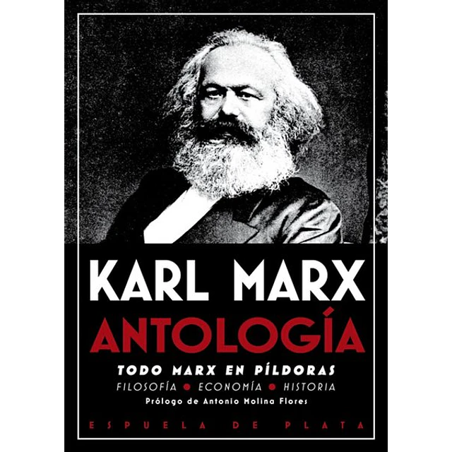 Antologia. Karl marx. Todo marx en pildoras