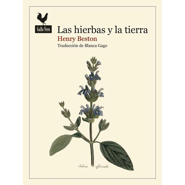Las hierbas y la tierra