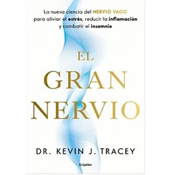 El gran nervio