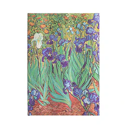 Lirios de van gogh | midi renglones