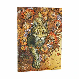Mirada de lince midi renglones