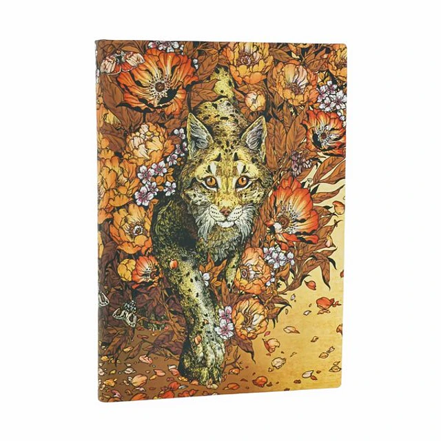 Mirada de lince ultra renglones