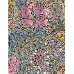 Morris madreselva rosa ultra liso