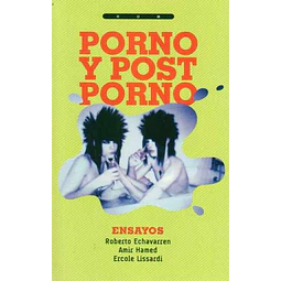 Porno y post porno
