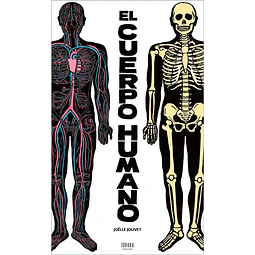 Cuerpo humano