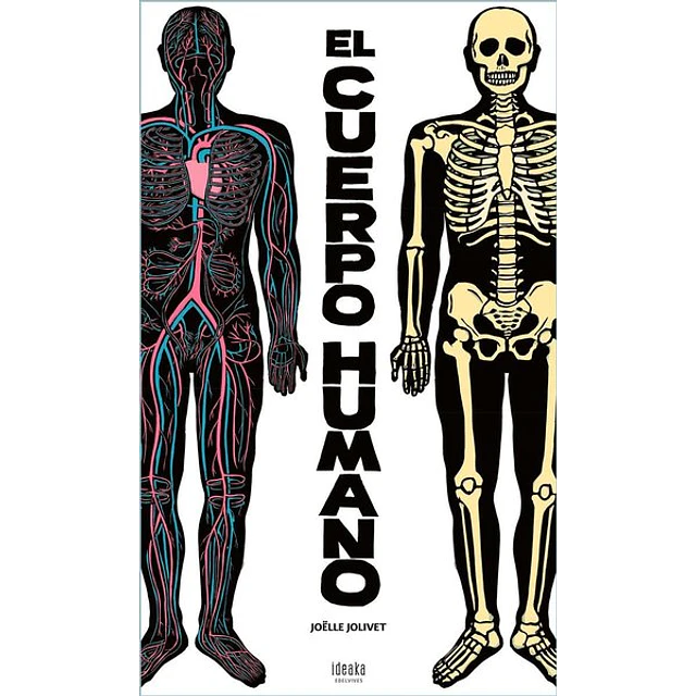 Cuerpo humano