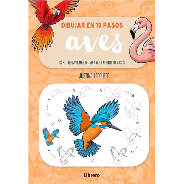 Dibujar aves en 10 pasos