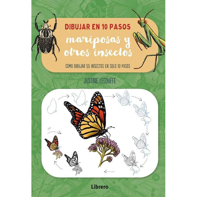 Dibujar mariposas y otros insectos en 10 pasos