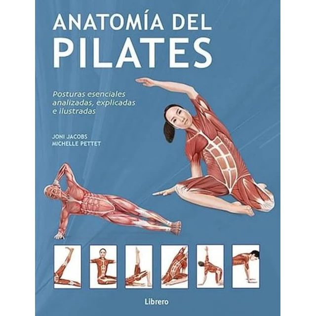 Anatomia del pilates
