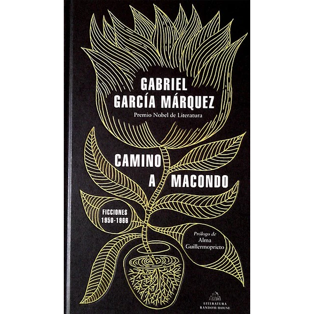 Camino a macondo