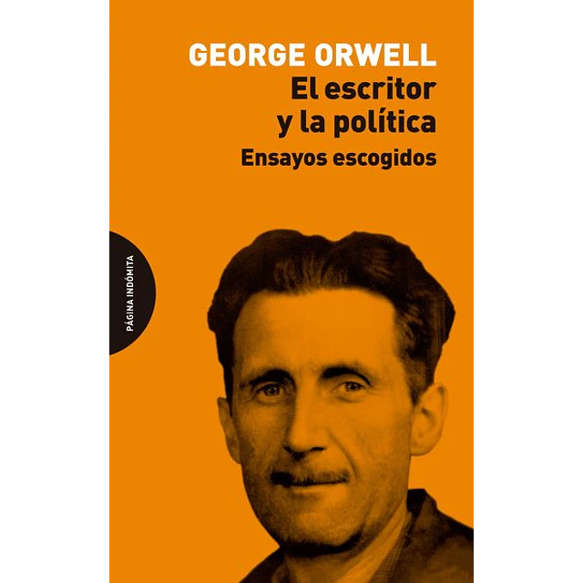 El escritor y la politica
