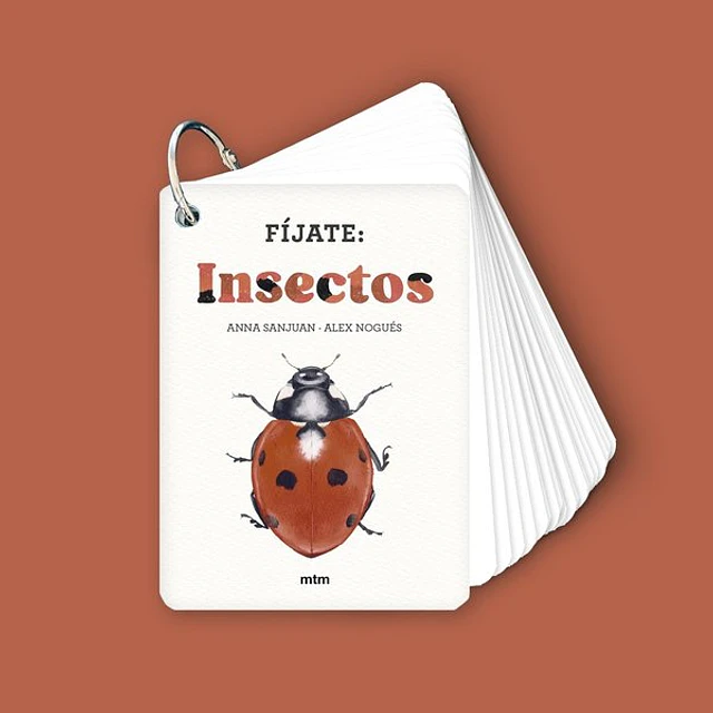 Fijate | insectos