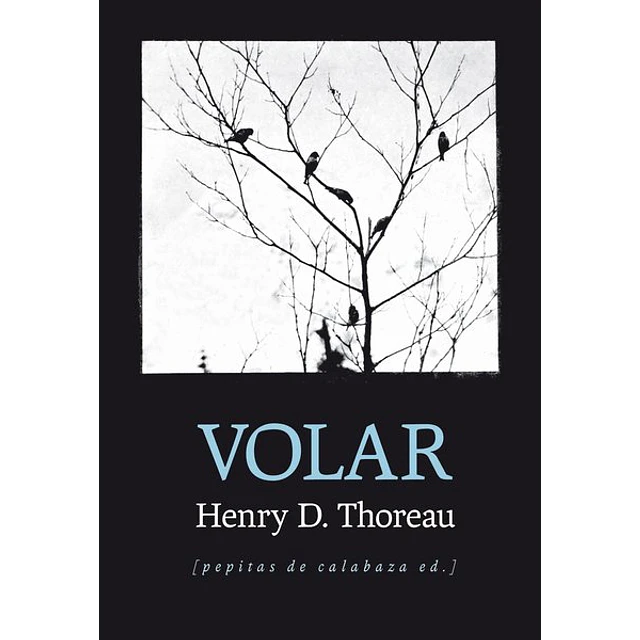 Volar