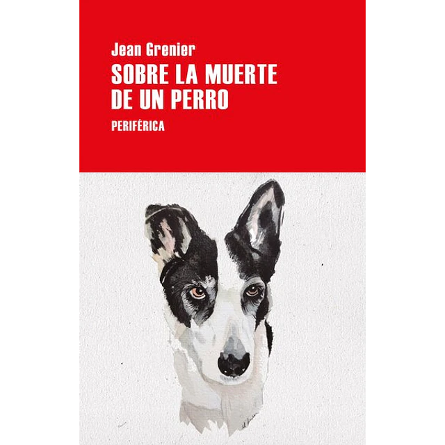 Sobre la muerte de un perro
