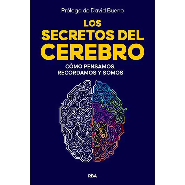 Los secretos del cerebro