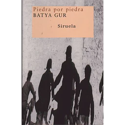 Piedra por piedra