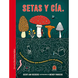 Setas y cia.