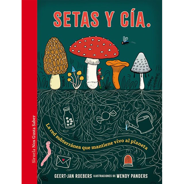 Setas y cia.