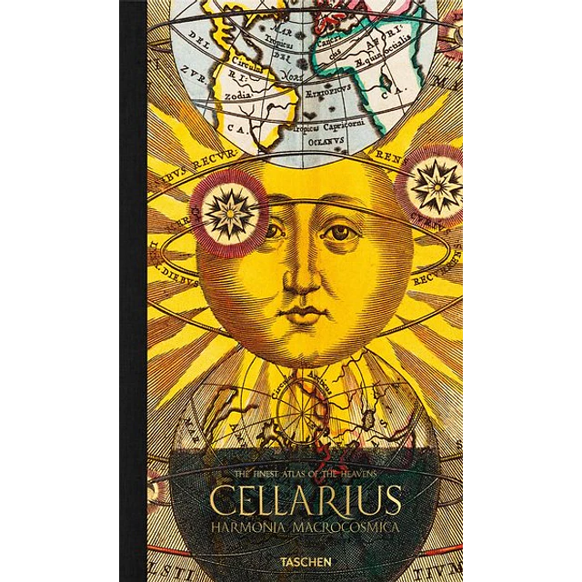 Cellarius atlas