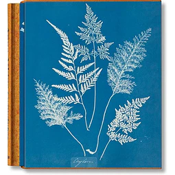 Cyanotypes
