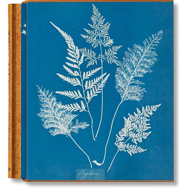 Cyanotypes