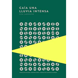 Caia una lluvia intensa