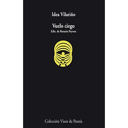 Vuelo ciego