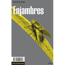 Enjambres