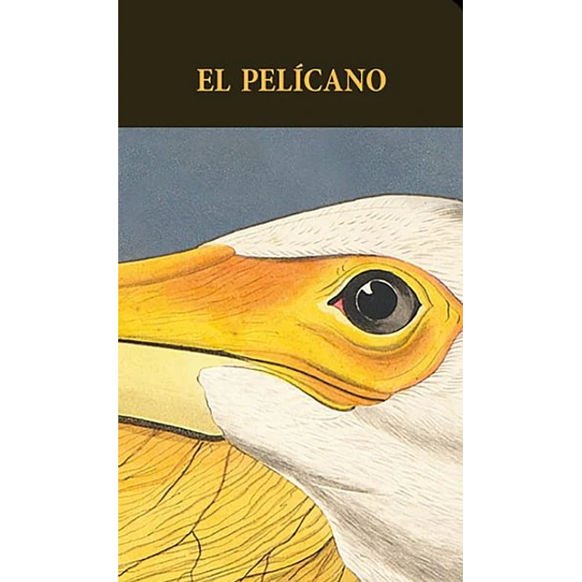 El pelicano