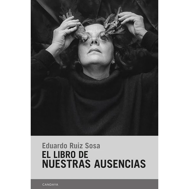 El libro de nuestras ausencias