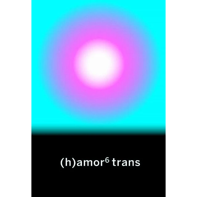 (H) amor 6 trans