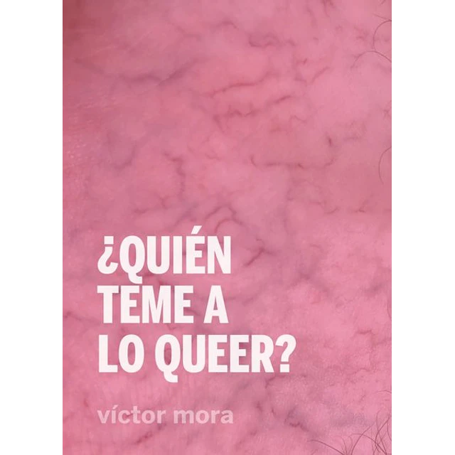 Quien teme a lo queer?