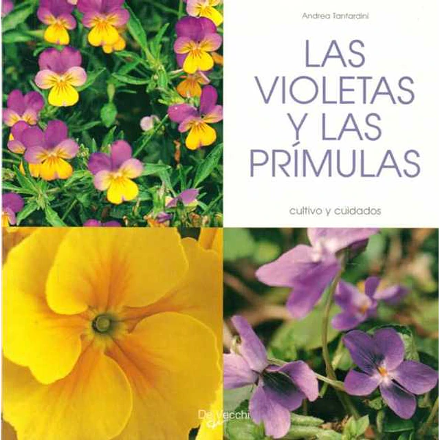 Las violetas y las primulas