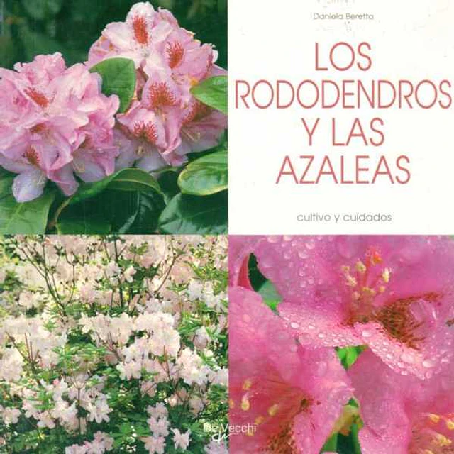 Los rododendros y las azaleas