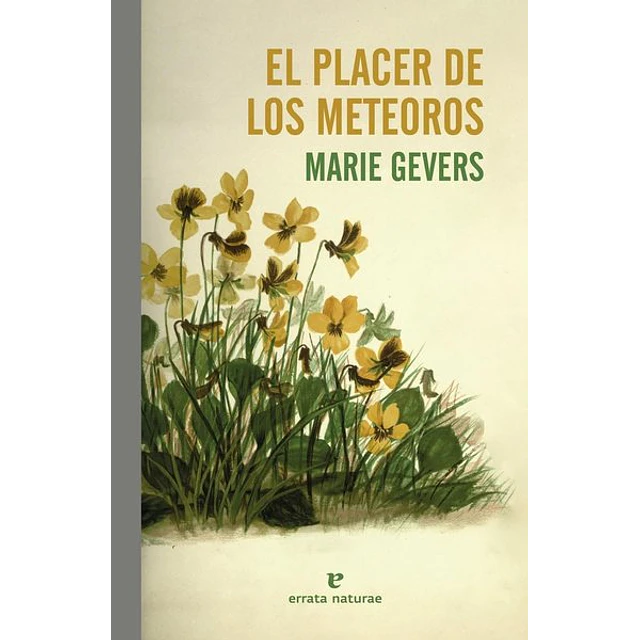 El placer de los meteoros