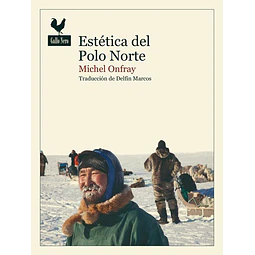 Estetica del polo norte